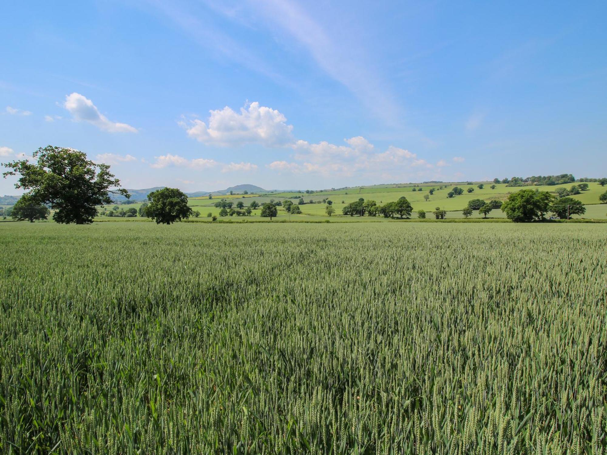 Corn House Βίλα Plaish Εξωτερικό φωτογραφία